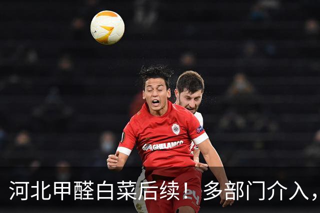 河北甲醛白菜后续！多部门介入，第三车被扣，成本曝光农民受牵连